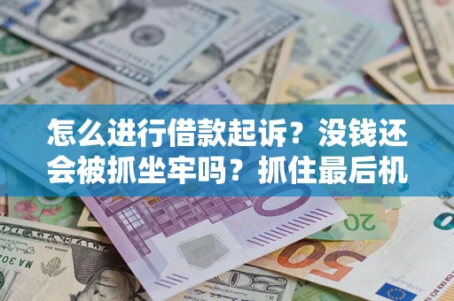 北京怎么进行借款起诉？没钱还会被抓坐牢吗？抓住最后机会！