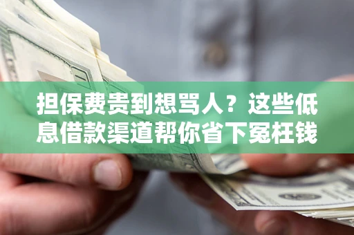 北京担保费贵到想骂人？这些低息借款渠道帮你省下冤枉钱