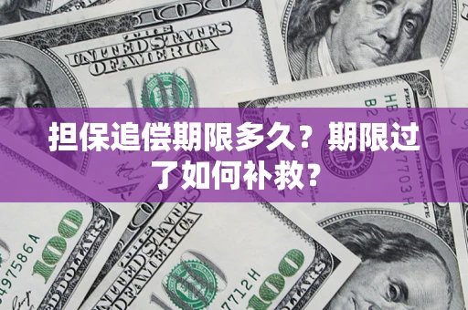 北京担保追偿期限多久？期限过了如何补救？