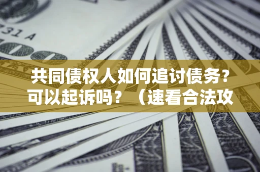 北京共同债权人如何追讨债务？可以起诉吗？（速看合法攻略）
