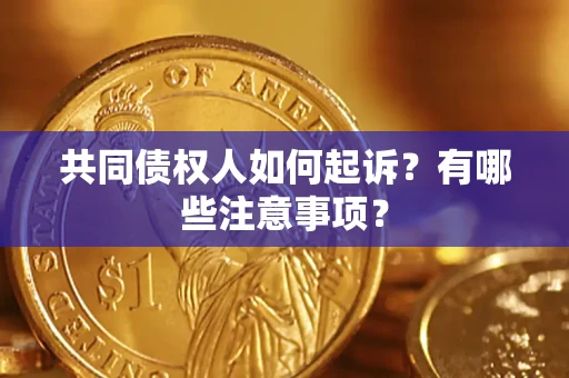 北京共同债权人如何起诉？有哪些注意事项？